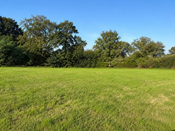 Terrain 485 m²