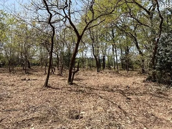 Terrain 5 000 m² Cestas