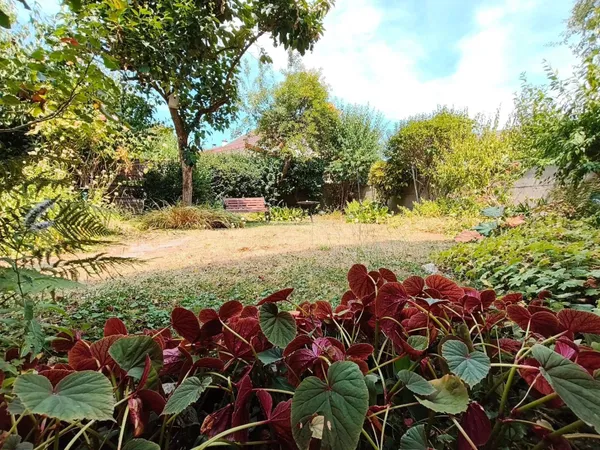 Charmante Maison des années 30 avec Jardin.