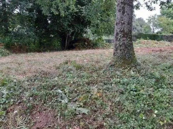 Si vous deviez choisir un seul terrain... ce serait celui-ci