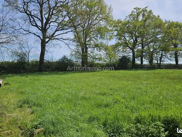 Terrain 2500 m²