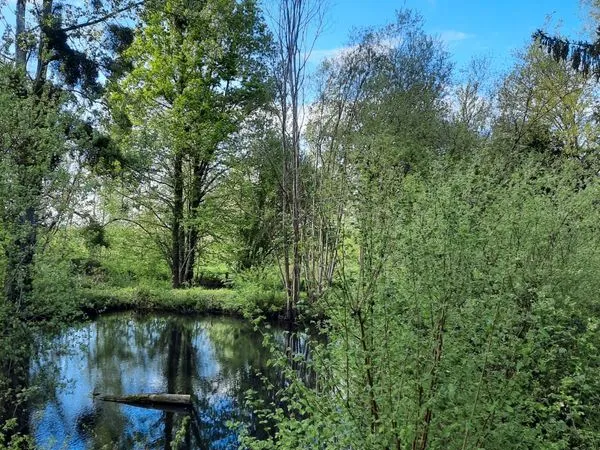 Terrain de loisirs