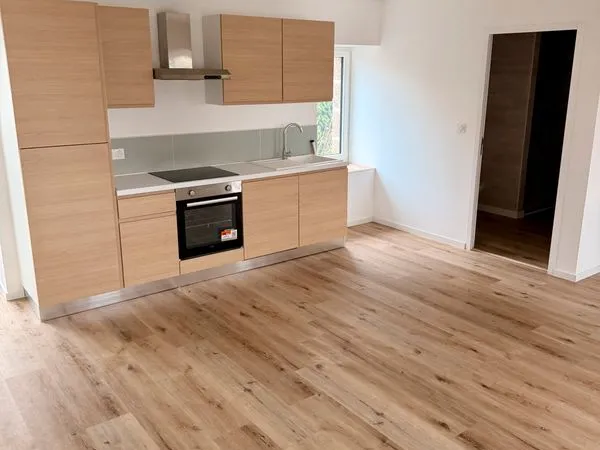 Duplex 65 m2 renové à neuf