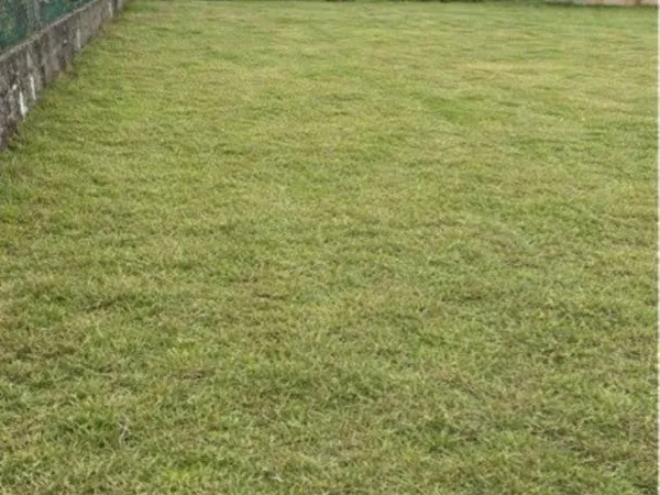 Terrain constructible 302 m2