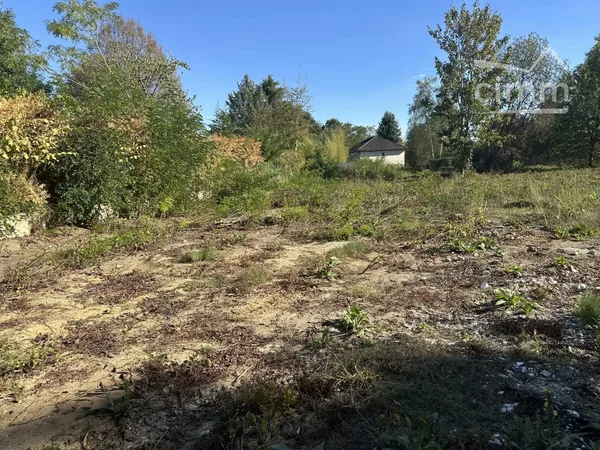 Terrain constructible