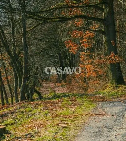 Terrain 5167 m²