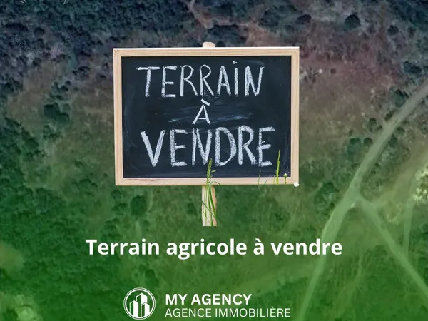 Terrain 10080 m² Caux