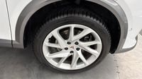 Cupra Formentor 2.0 TDI 150ch Business Edition — photo 20