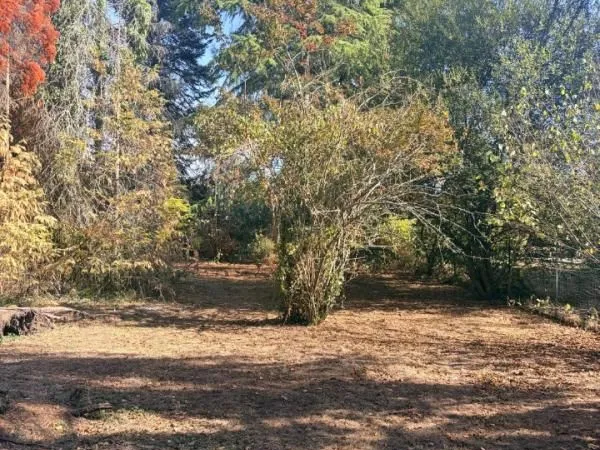 Terrain 1 200 m² Saint Aubin De Medoc