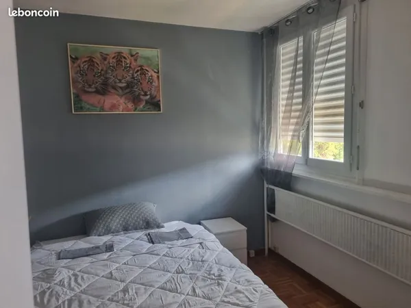 Colocation Saint-Etienne