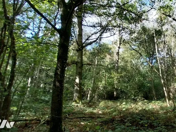 Terrain 26694 m²
