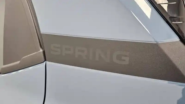 Dacia Spring electric 100 — photo 131