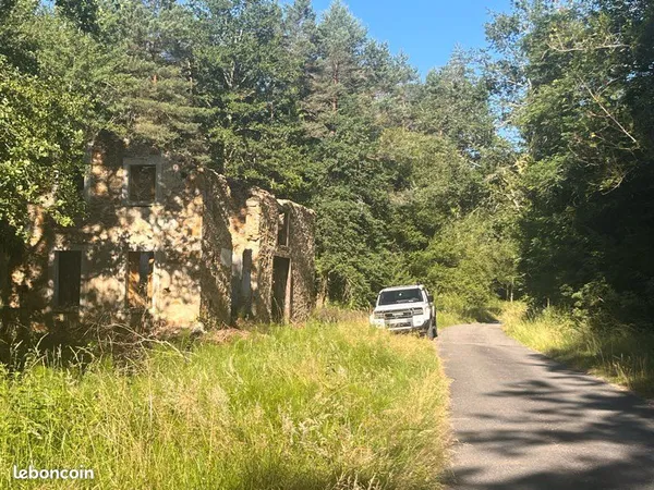 Forêt de caractère avec bâtisse en maçonnerie