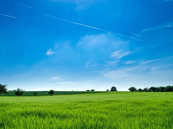 Terrain 341 m²