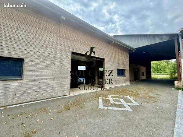Local 300 m²
