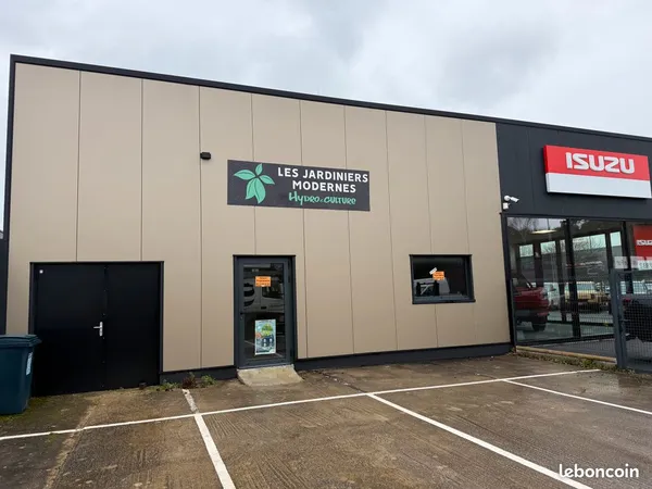 Local commercial manebos