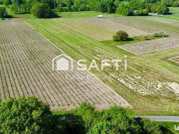 Terrain 33000 m² SAVIGNY-EN-VERON