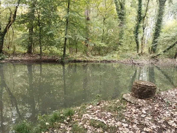 Terrain de loisirs