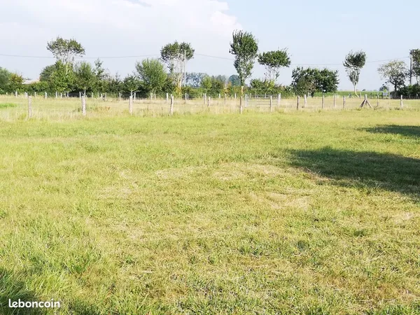 Terrain pour chevaux ou foin