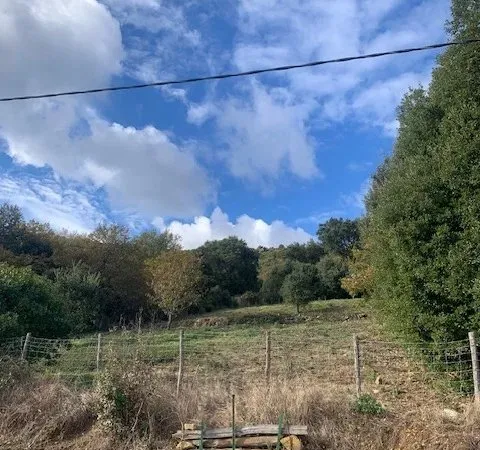 Terrain constructible Talasani