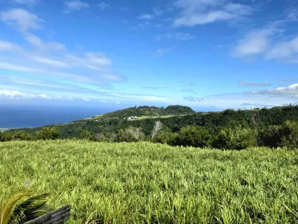 SAINT JOSEPH 97480 - VILLA EN BON ETAT GENERAL - LUMINEUSE - MAGNIFIQUE VUE MER