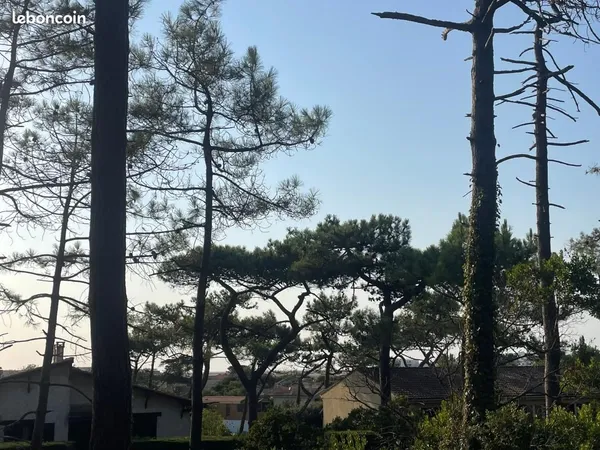 Terrain 800 m² Lacanau