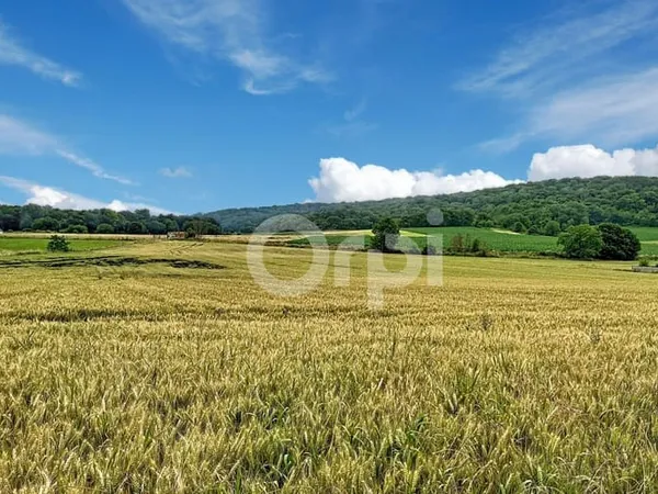 Terrain 1514 m²