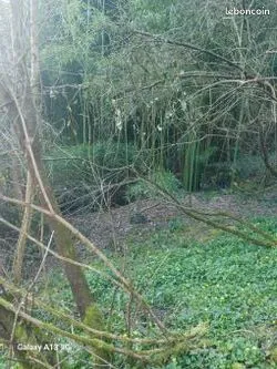 Terrain de loisirs
