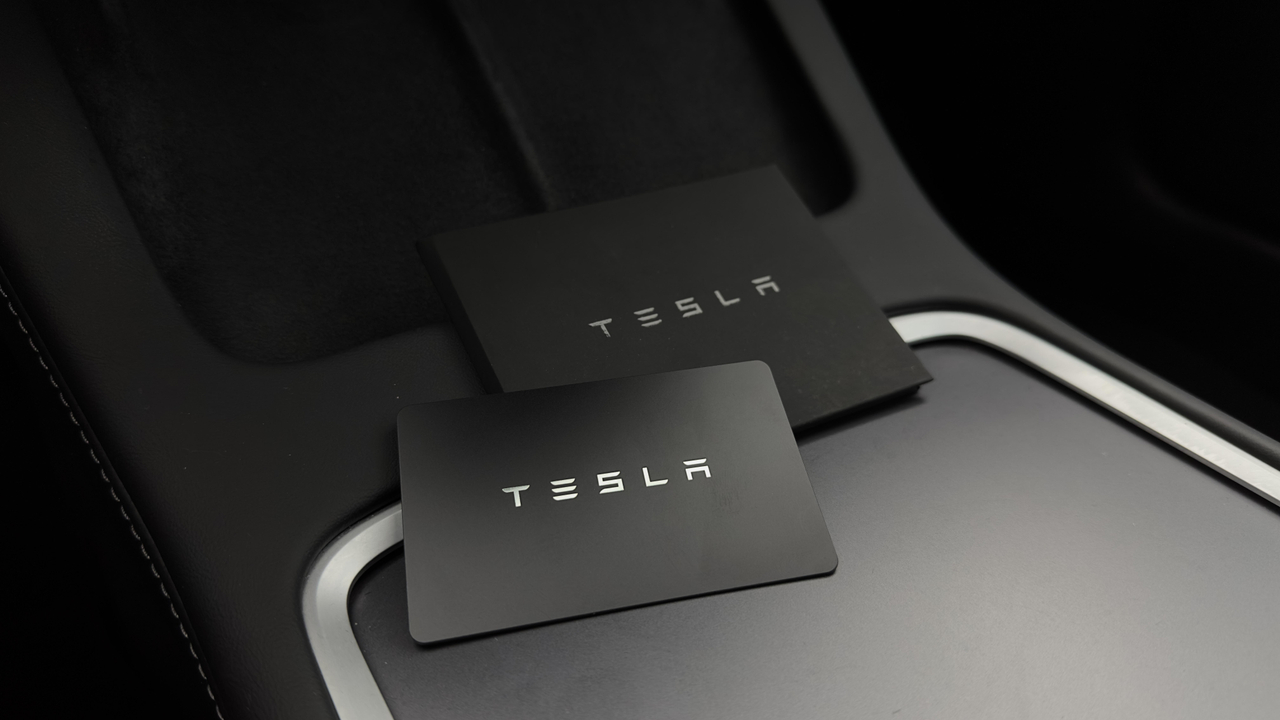 Tesla MODEL 3 Autonomie Standard Plus RWD — photo 21