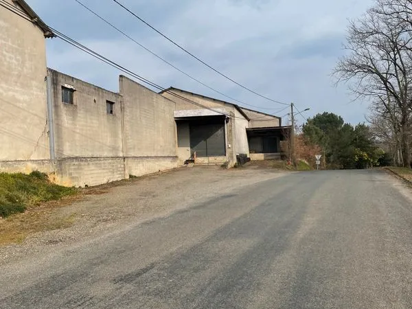 Entrepôt à vendre à Saint-Loubouer (40320)