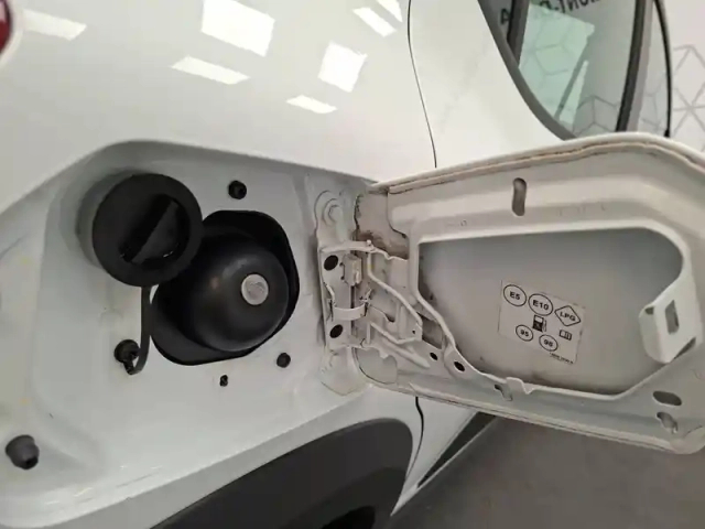 Dacia Sandero eco-g 100 — photo 20