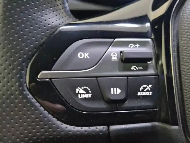 Peugeot 308 phev 225 e-eat8 — photo 123