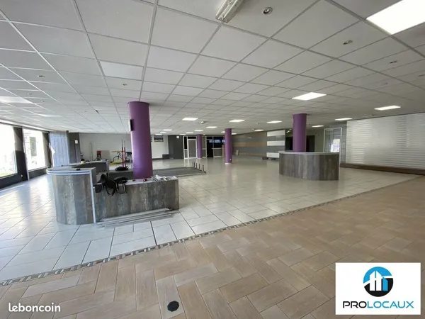 Local commercial 554 m² SAINT MARTIN LE VINOUX