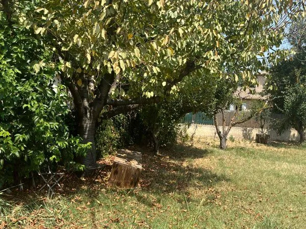 Terrain Avignon EM