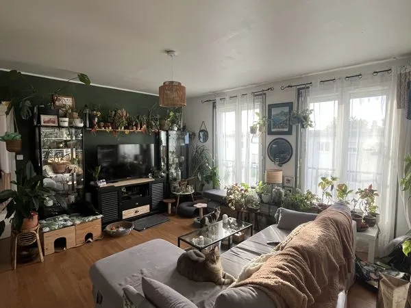 Bel appartement T3 à louer