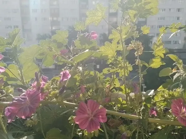 Chambre privée courte durée octobre novembre