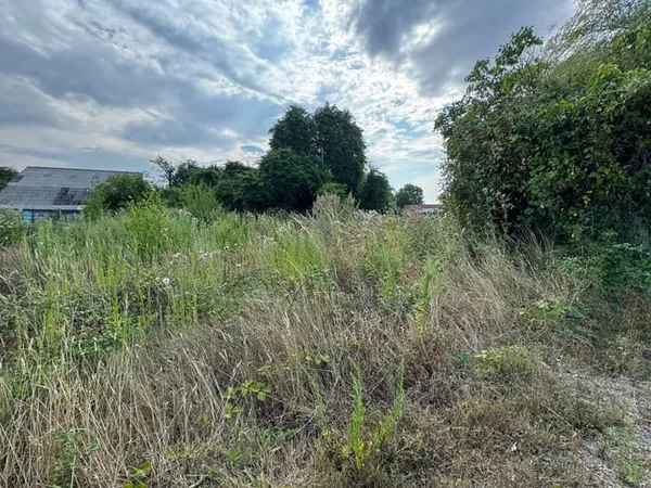 Terrain 1374 m²
