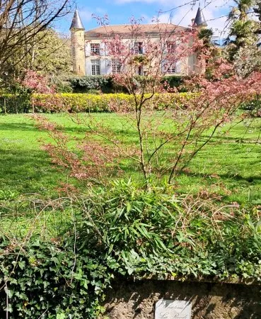 Loue chambre 36m² appartement