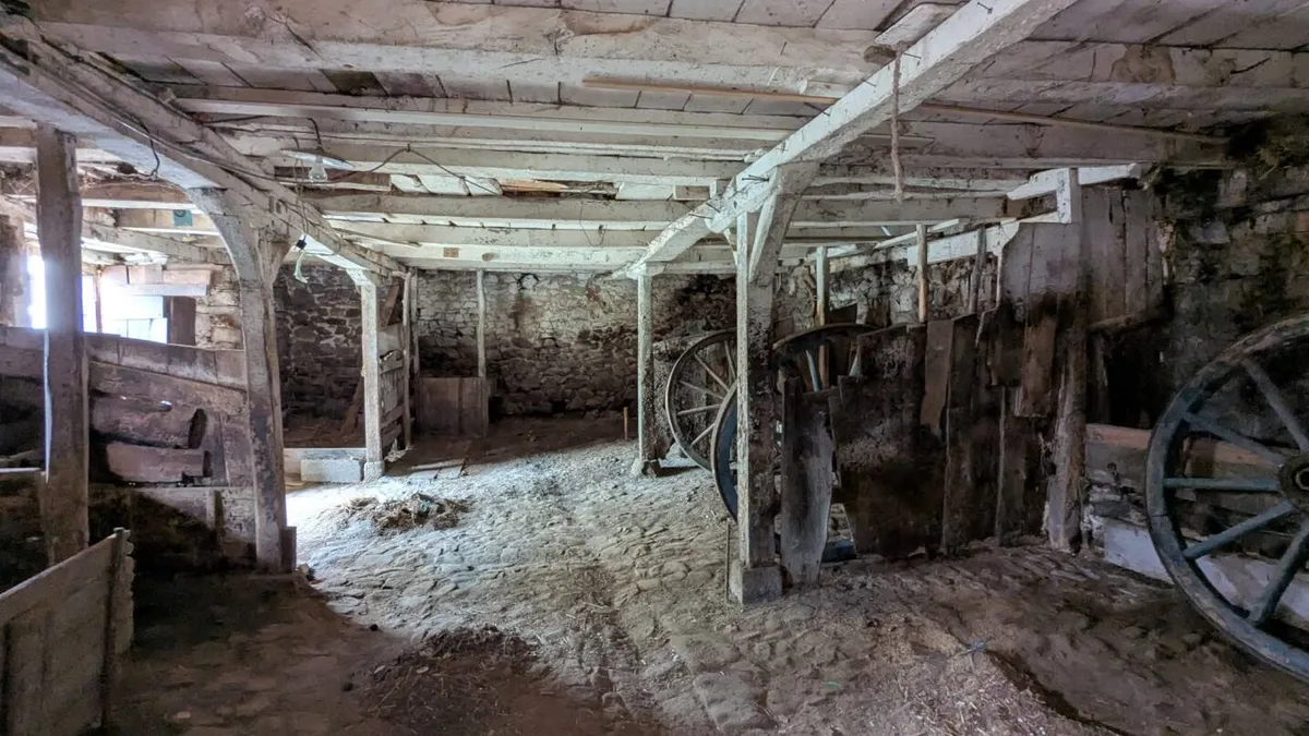 Photo 5