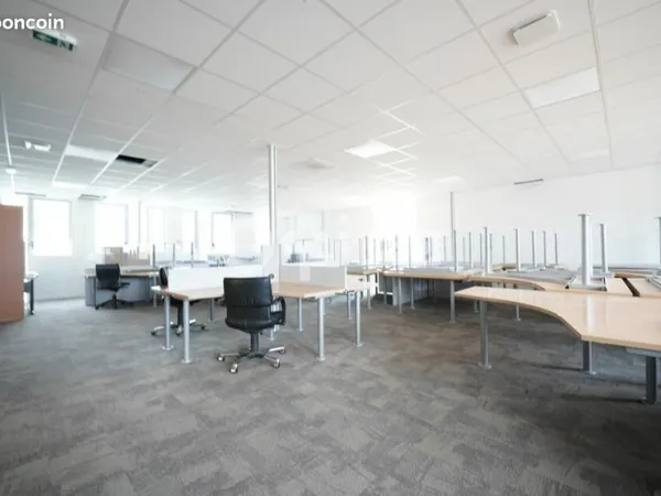 Bureau 260 m²