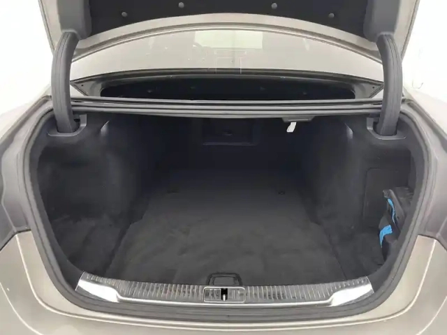 Mercedes Cla sse s 350 d 9g-tronic — photo 117
