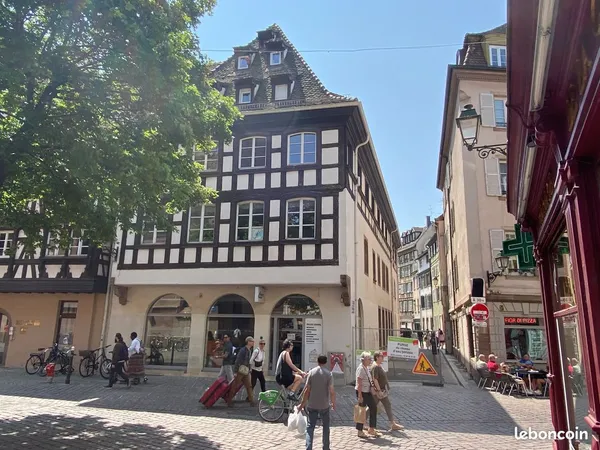 Petite France Etage Elevé Au Calme Plateau Climatisé Traversant et Lumineux de 250 m2 pour Logements