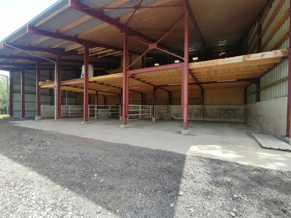 Local / Entrepôt / Hangar