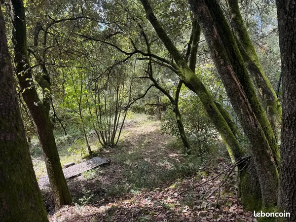 Terrain 799 m² Cendras