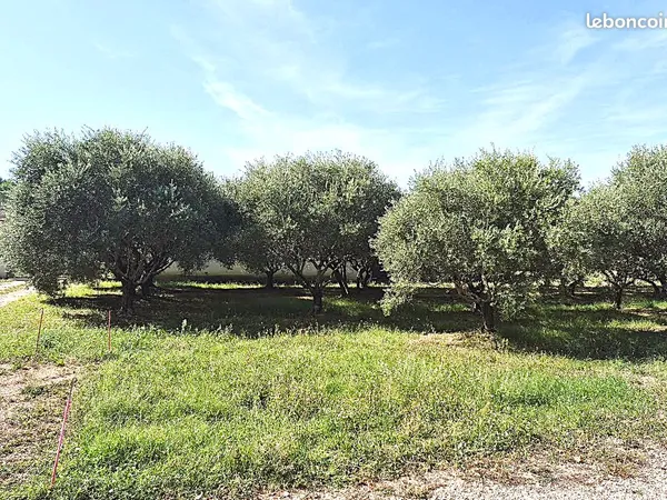 VILLA 80m² sur terrain 370m² a Malemort du comtat