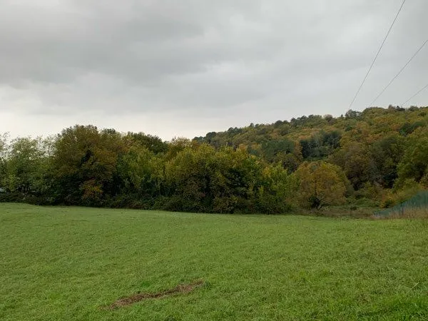 Vente terrain non constructible
