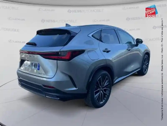 Lexus Nx 450h+ executive 4wd my25 — photo 6