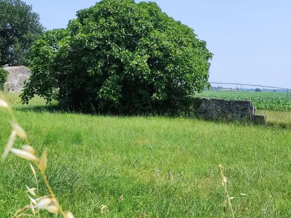 Terrain 893 m² Rioux