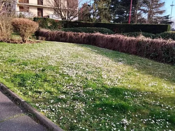 Appartement Fresnes 2 pièce(s)