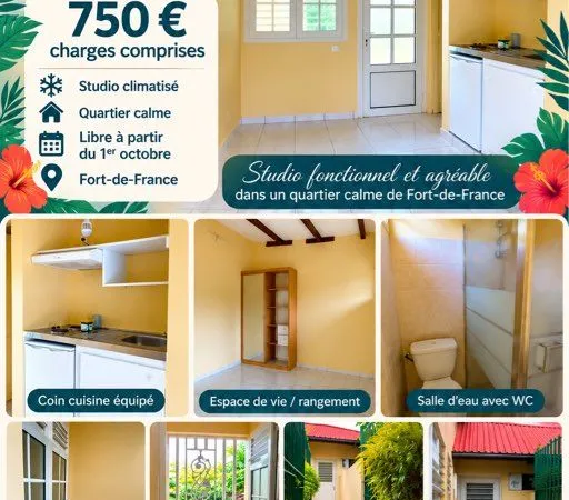 Appartement/Studio à louer